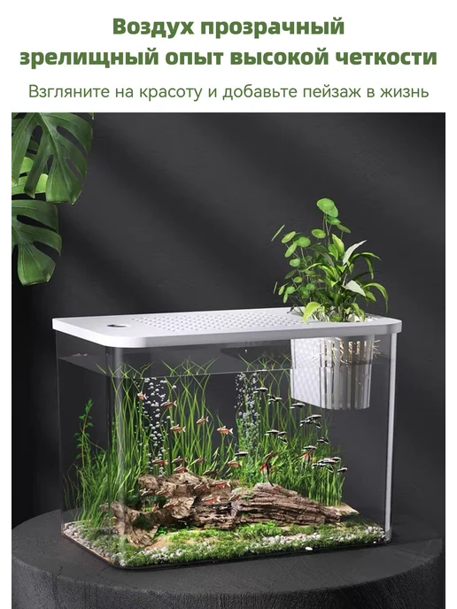 Аквариум настольный 12 л прозрачный панорамный прозр черн, 12 л, фото 2