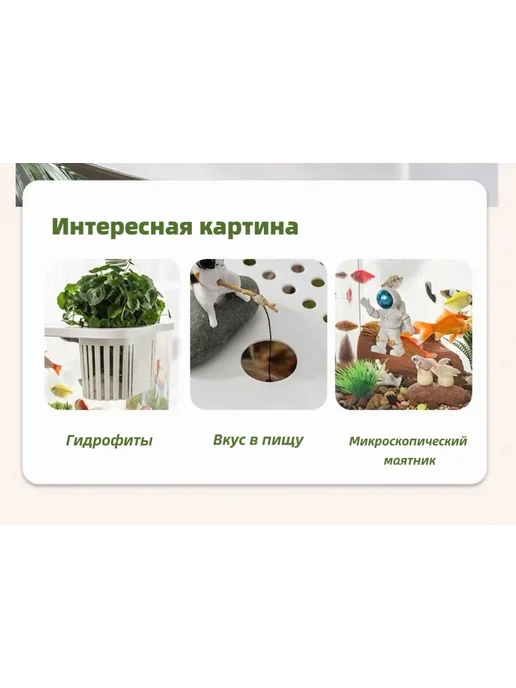 Аквариум настольный 12 л прозрачный панорамный прозр черн, 12 л, фото 5