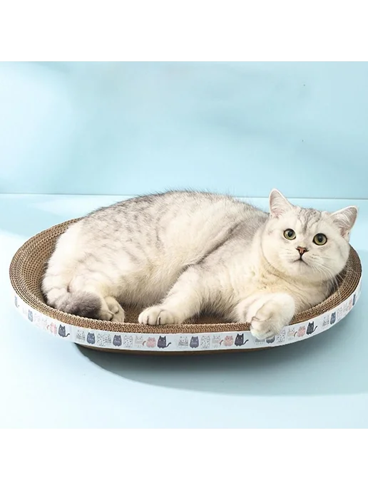 Когтеточка для кошек Эллипс, вариант, фото 8