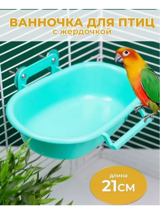 Ванночка д я попугаев купание кормление игровая зона ABS, вариант