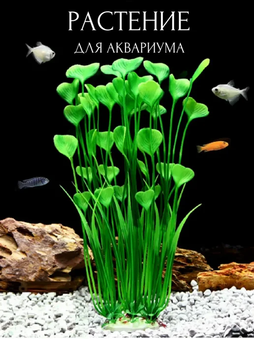 SOKOL0VE Растение аквариумное искусственное для аквариума 1 шт, 1 шт