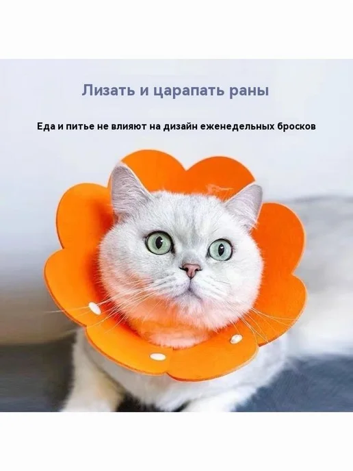 Воротник для животных L 16-19 см фетр Розовый, розовый, фото 2