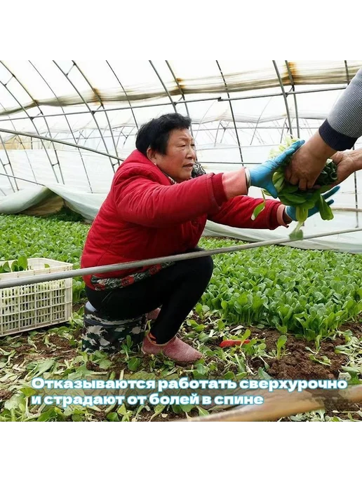 Скамья для сада темно-зеленый белый Скамья, белый, фото 2