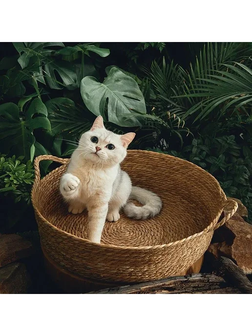Лежанка для кошек и собак плетеная Корзина для питомца, вариант, фото 4